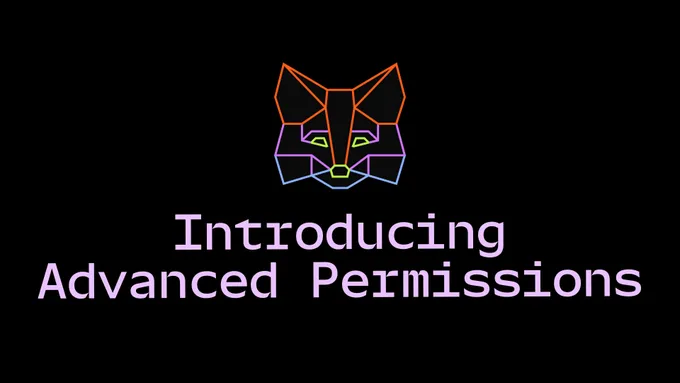 MetaMask Advanced Permissions
